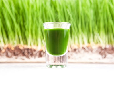 Wheatgrass Juicer
